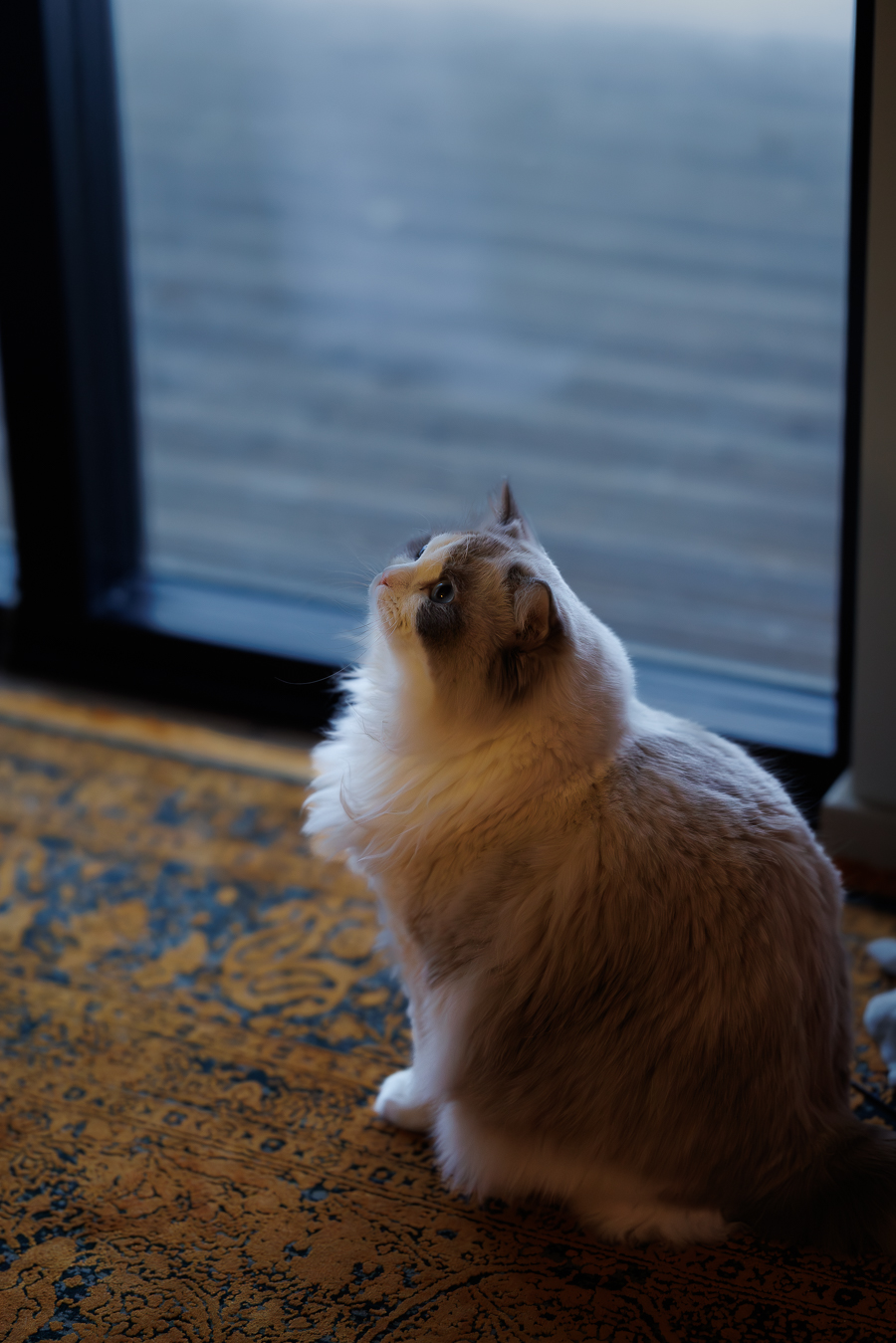 Alberina Gashi. Alberina. Spillet. Spillet Tv2. Reality. Influenser. Portrettmagasinet. Portrettintervju. Intervju